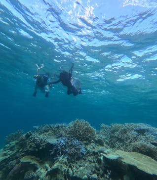 西表島 ADVENTURE PiPi（アドベンチャーピピ）に投稿された画像（2024/7/28）