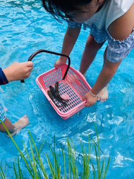 軽井沢おもちゃ王国に投稿された画像（2024/7/28）