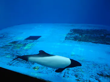 仙台うみの杜水族館に投稿された画像（2024/7/28）