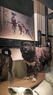 国立科学博物館に投稿された画像（2024/7/28）