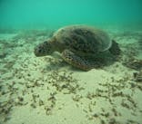 OCEANZ（オーシャンズ）に投稿された画像（2024/7/28）