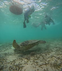 OCEANZ（オーシャンズ）に投稿された画像（2024/7/28）