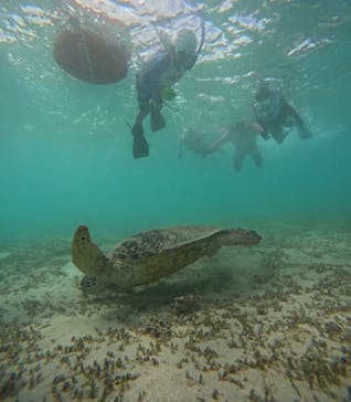 OCEANZ（オーシャンズ）に投稿された画像（2024/7/28）