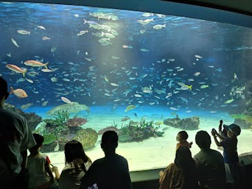 サンシャイン水族館に投稿された画像（2024/7/28）