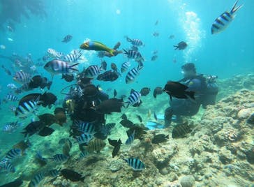 武藤潜水に投稿された画像（2024/7/28）