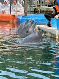 下田海中水族館に投稿された画像（2024/7/28）