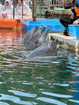 下田海中水族館に投稿された画像（2024/7/28）