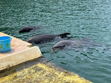 下田海中水族館に投稿された画像（2024/7/28）