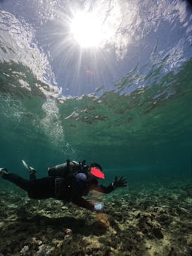 武藤潜水に投稿された画像（2024/7/28）
