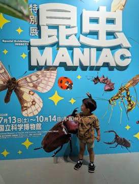 特別展「昆虫 MANIAC」（国立科学博物館）に投稿された画像（2024/7/28）