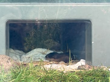 サンシャイン水族館に投稿された画像（2024/7/28）