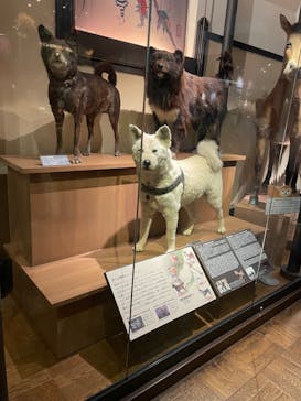 国立科学博物館に投稿された画像（2024/7/28）