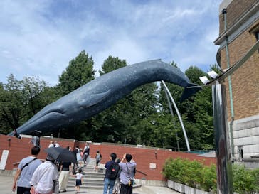 国立科学博物館に投稿された画像（2024/7/28）