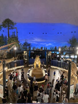 福井県立恐竜博物館に投稿された画像（2024/7/28）