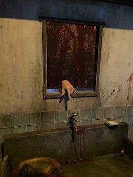 新潟県立自然科学館に投稿された画像（2024/7/28）