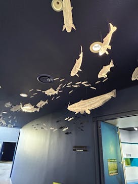 滋賀県立琵琶湖博物館に投稿された画像（2024/7/28）