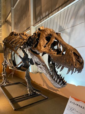 巨大恐竜展2024に投稿された画像（2024/7/28）