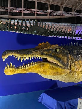 巨大恐竜展2024に投稿された画像（2024/7/28）
