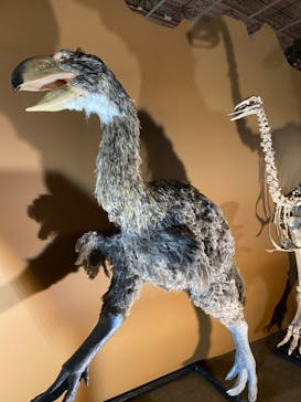 巨大恐竜展2024に投稿された画像（2024/7/28）