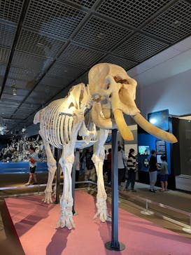 大哺乳類展に投稿された画像（2024/7/28）