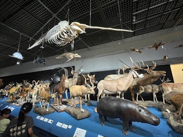 大哺乳類展に投稿された画像（2024/7/28）