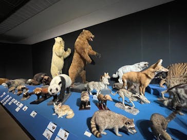 大哺乳類展に投稿された画像（2024/7/28）