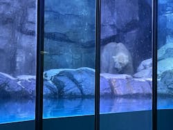 【使用不可】横浜・八景島シーパラダイスに投稿された画像（2024/7/28）