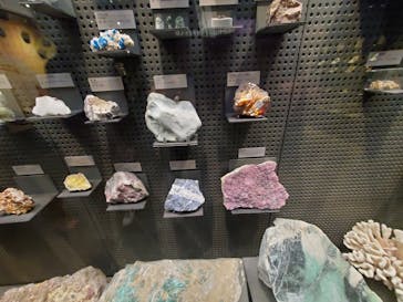 福井県立恐竜博物館に投稿された画像（2024/7/28）