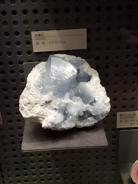 福井県立恐竜博物館に投稿された画像（2024/7/28）