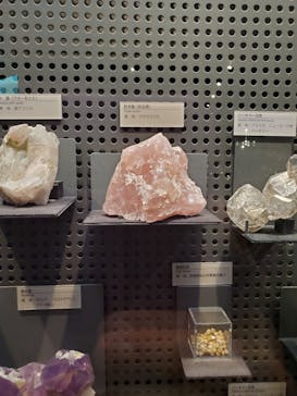 福井県立恐竜博物館に投稿された画像（2024/7/28）