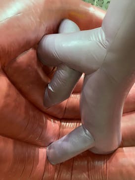 超からだのひみつ大冒険2024実行委員会に投稿された画像（2024/7/28）