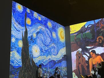 Immersive Museum OSAKA 2025に投稿された画像（2024/7/28）