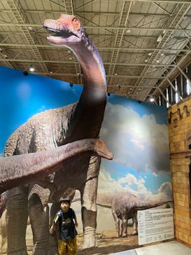 巨大恐竜展2024に投稿された画像（2024/7/28）