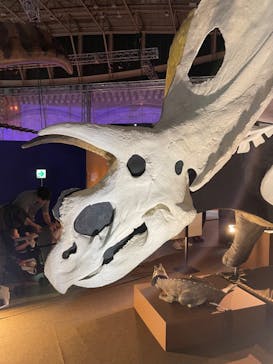 巨大恐竜展2024に投稿された画像（2024/7/28）