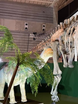 巨大恐竜展2024に投稿された画像（2024/7/28）