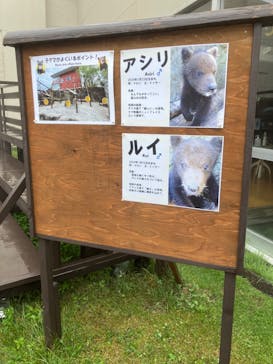 のぼりべつクマ牧場に投稿された画像（2024/7/28）