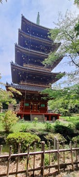 恩賜上野動物園に投稿された画像（2024/7/28）