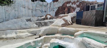 恩賜上野動物園に投稿された画像（2024/7/28）