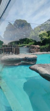 恩賜上野動物園に投稿された画像（2024/7/28）