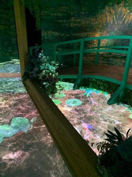 モネ＆フレンズ・アライブに投稿された画像（2024/7/28）