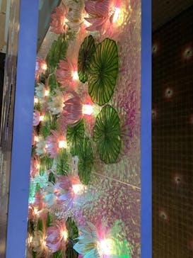 モネ＆フレンズ・アライブに投稿された画像（2024/7/28）