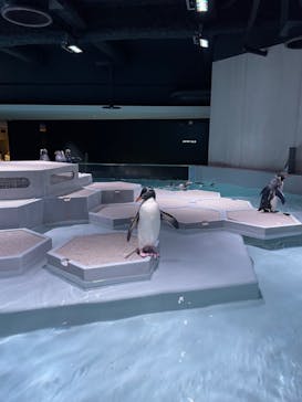 AOAO SAPPOROに投稿された画像（2024/7/28）