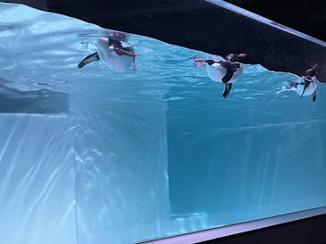 AOAO SAPPOROに投稿された画像（2024/7/28）