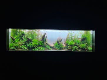 AOAO SAPPOROに投稿された画像（2024/7/28）