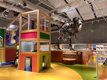 国立科学博物館に投稿された画像（2024/7/28）