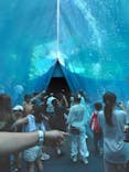 環境水族館アクアマリンふくしまに投稿された画像（2024/7/28）