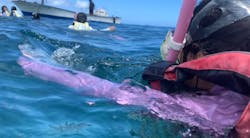 古宇利島マリンクラブ　ザンマリンに投稿された画像（2024/7/28）