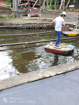 忍者の里　チビッ子忍者村に投稿された画像（2024/7/28）