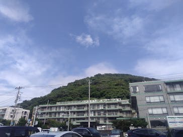 葉山ダイビングサービスに投稿された画像（2024/7/28）