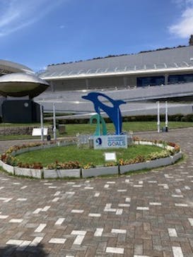 名古屋港水族館に投稿された画像（2024/7/28）
